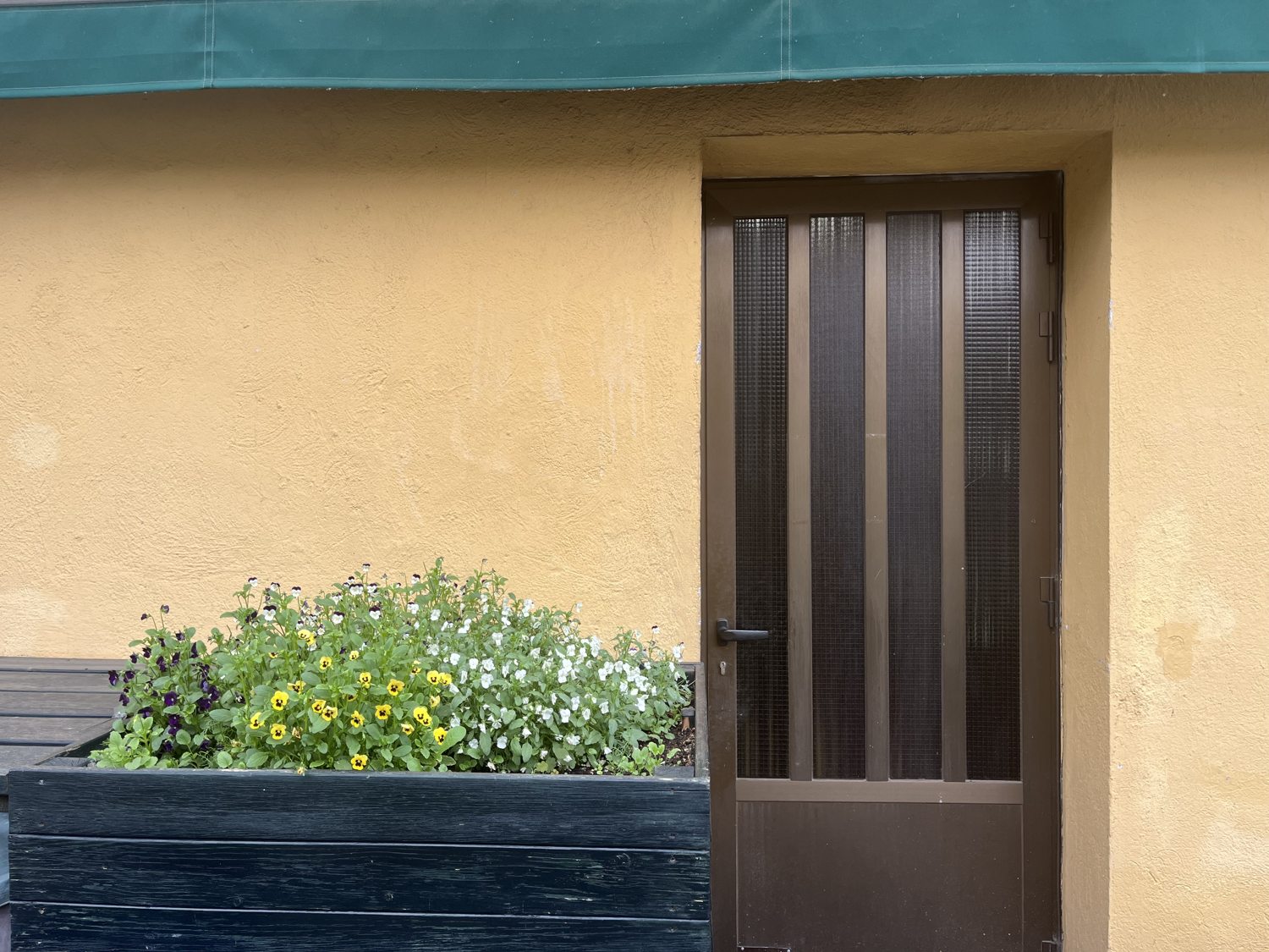 Huerto exterior